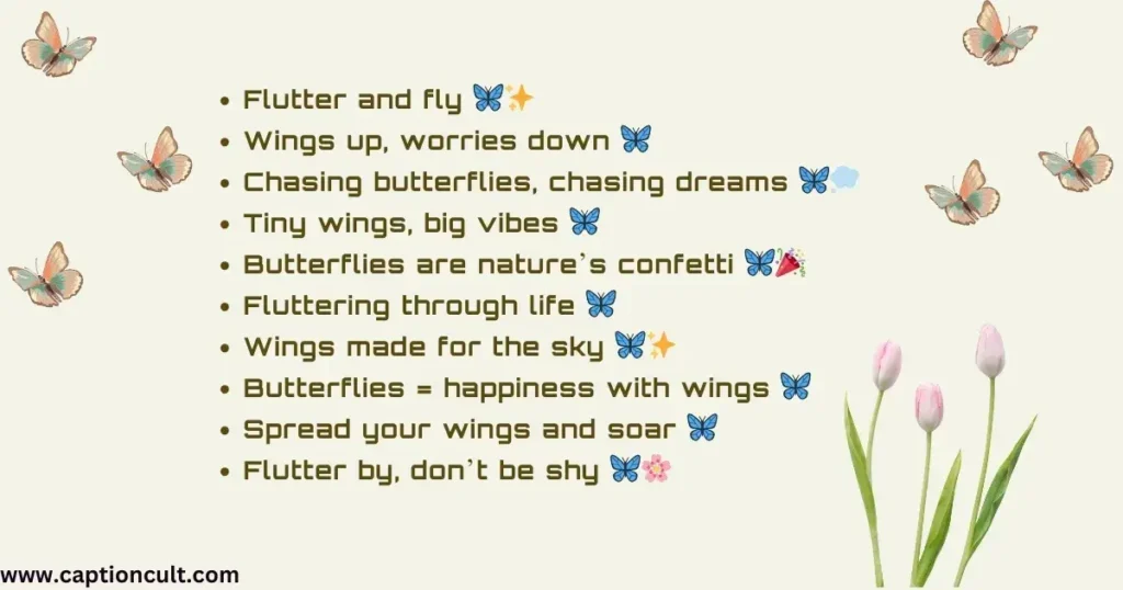 Short Butterfly Captions for Instagram